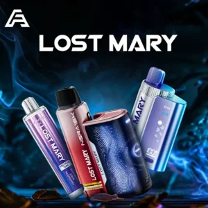 Lost Mary