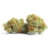 Buy Papaya Strain in the Netherlands