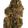 Buy Forbidden Fruit Strain in the Netherlands