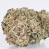 Buy Gorilla Glue Strain in the Netherland