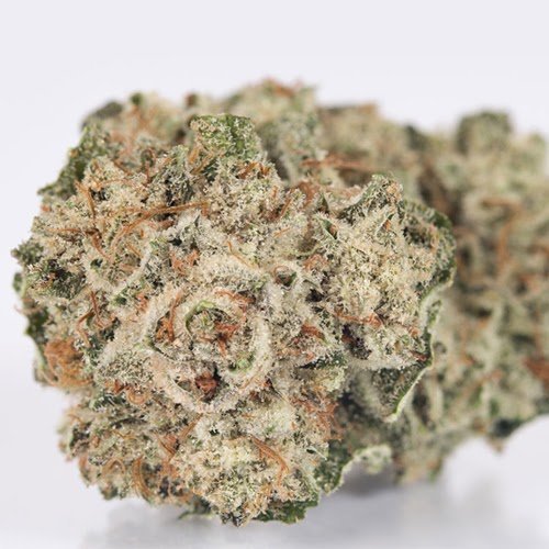 Buy Gorilla Glue Strain in the Netherland