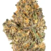 Buy Mendo Breath Strain in the Netherlands