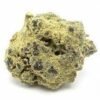 Buy Moon Rock Grape in the Netherlands