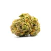 Buy Dolato Strain in the Netherlands