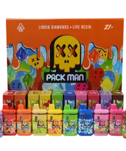 Wholesale Packman disposable 2g | Mix Flavors